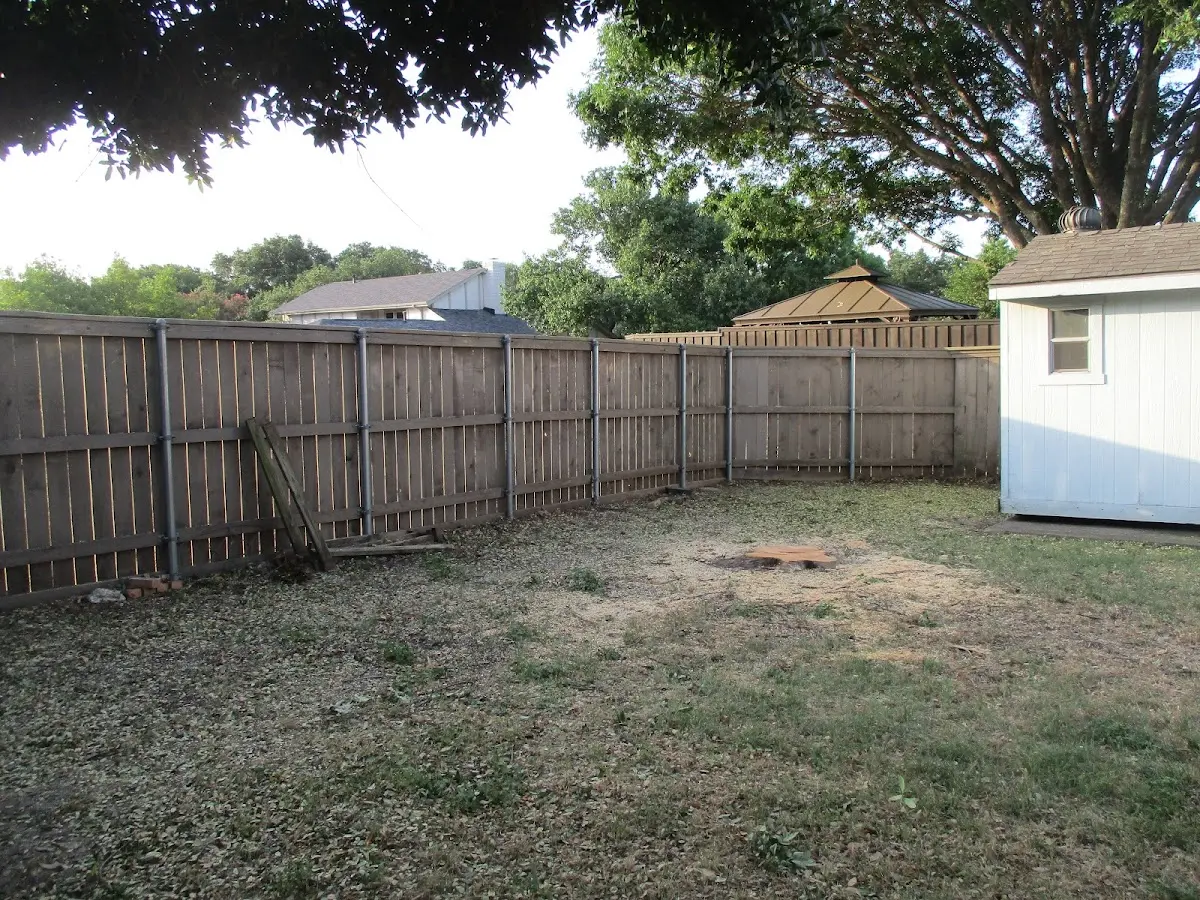 Cleared yard after professional tree removal in Tyler Hill
