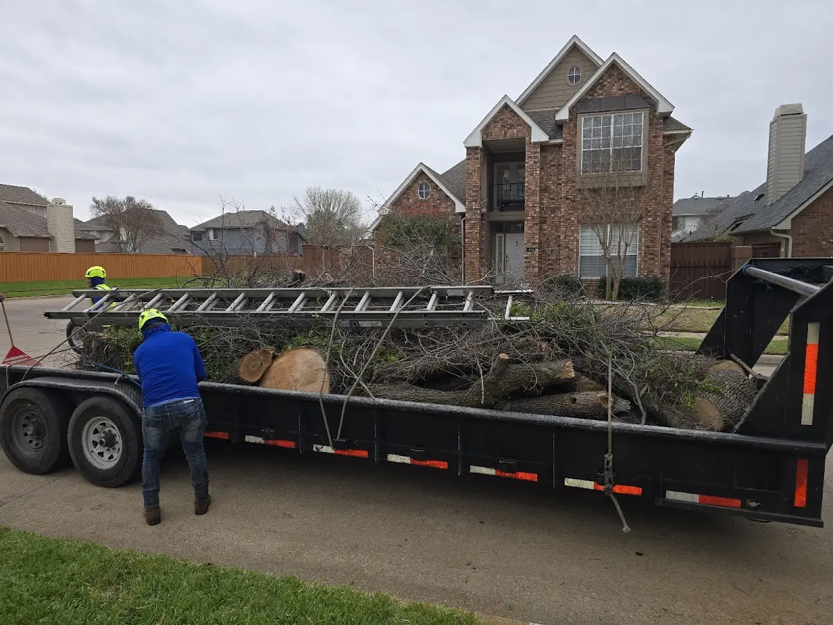 Expert Crown Reduction with proper safety equipment in Tyler Hill